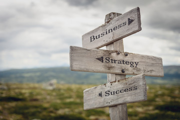 business strategy success text engraved on wooden signpost outdoors in nature.