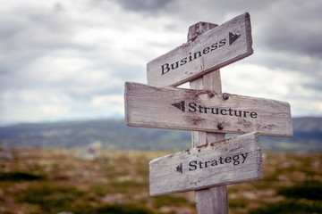 business structure strategy text engraved on wooden signpost outdoors in nature.