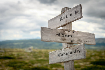 raise your immunity text engraved on wooden signpost outdoors in nature.