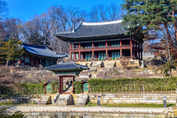 Fototapeta na wymiar Secret Garden at Changdeokgung Palace