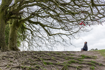 man sitting under the branches of a large tree with impressive roots that spread throughout the terrain, it seems the tree of life