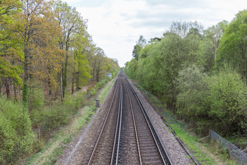 Obraz premium train track through a forest