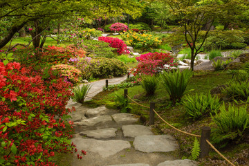 Seattle Japanese Gardens in springtime