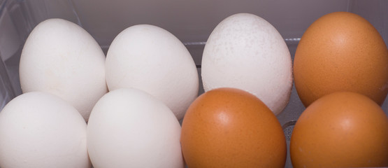 chicken eggs brown and white are on a shelf in the refrigerator