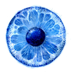 Blue pupil, iris, eye, watercolor illustration, high magnification - 350281285