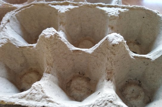 close up of a egg cardboard industrial agro-alimentaire
gros plan carton pour oeufs industriel agriculture 