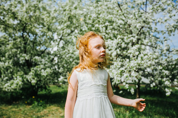 portrait of a little red-haired girl in Apple trees - 350281845