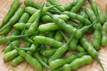 rat tail radish, edibel seed pod of radish, indian food