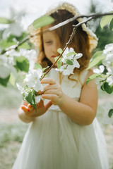 portrait of a little red-haired girl in Apple trees - 350282450
