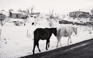 a winding road in the mountains in Armenia in winter in the snow rocks