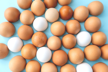 Different hen white, brown, beige and guinea fowl eggs on pastel blue background. Healthy food or easter concept. Top view, flat lay.