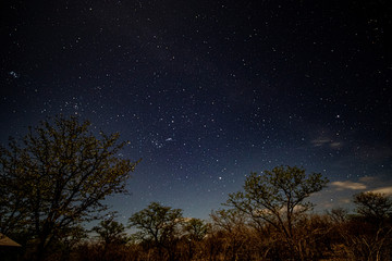 Naklejka na ściany i meble The nighttime skies over Halali just in Etosha National Park