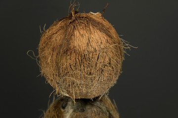 Large shaggy coconut isolated on a black mirror surface with reflection