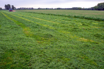 mowing grass with a tractor