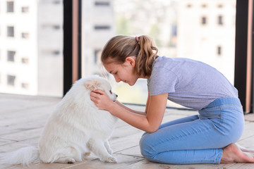 Cute teenage girl training her spitz dog at home