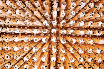 Abstract lines through drops of water on a glass, macro view