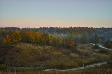 Morning landscape with colored forest, fog and the road.