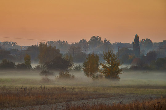 Morning landscape of field with small trees and fog © vpankevich
