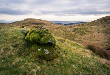 Moss, Kilpatrick Hills, West Dunbartonshire, Scotland, UK