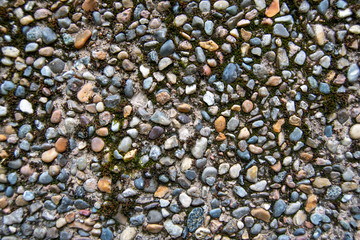 Old pebble wall with moss growing on it.