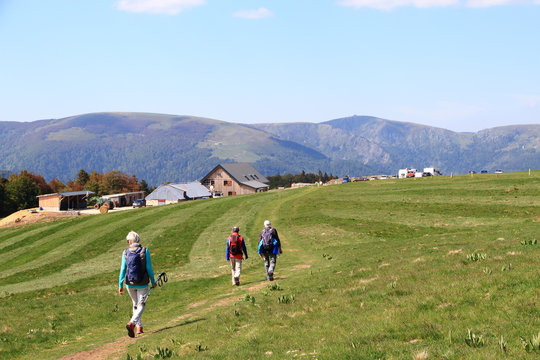 Paysage de la Vall&eacute;e de Munster en Alsace