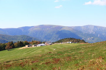 Fototapeta na wymiar Paysage de la Vallée de Munster en Alsace