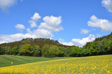 Obraz premium Gohrisch in der Sächsischen Schweiz