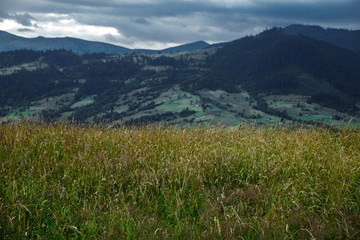 The Carpathians are a beautiful country of mountains. Carpathians are located in Ukraine. In the Carpathians, beautiful nature and many good people.