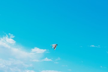 kite surfing in the blue sky