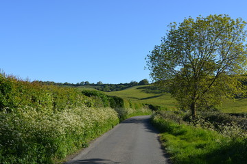 Fototapeta na wymiar road in the countryside, between Oborne and Poyntington, Dorset, England