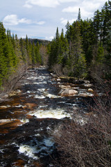 Chute d'eau en forêt canadienne