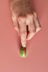 unopened poppy flower bud in woman's palms. abstract image of the vagina and clitoris