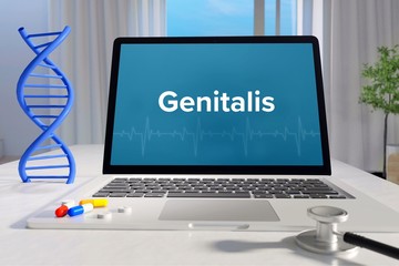 Genitalis. Laptop mit Begriff/Text auf Monitor. Computer von Arzt. DNA und Stethoskop. Medizin, Gesundheitswesen