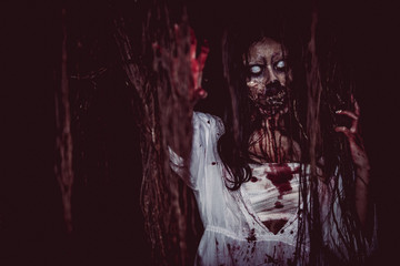 Portrait of asian woman make up ghost face with blood,Horror scene,Scary background,Halloween...