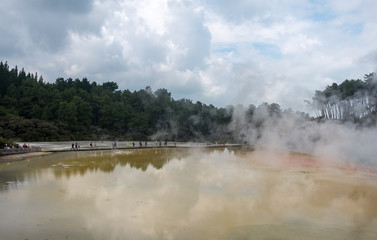 Steam rising from the geothermal pools in Wai-O-Tapu (Sacred Waters) near Rotorua in New Zealand