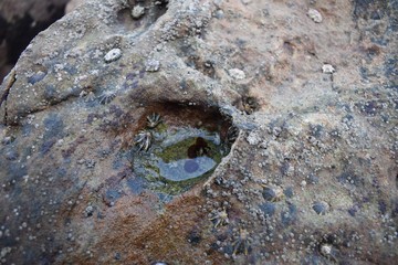 Rocas-Itzurun