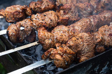 Cooking shashlik. Grilling pork on coal