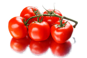 tomatoes isolated on white background
