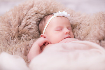 Beatiful newborn girl in floral headband, lying in sleeping basket with flowers on blanket