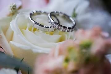 Jeweller ornament. White gold wedding rings