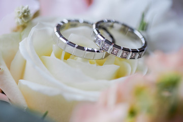 Jeweller ornament. White gold wedding rings