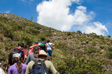 Fototapeta premium group of people hiking in mountains