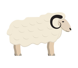 Ram icon concept vector. Sheep isolated on a white background. Farm animal, animal husbandry illustration. Eid al fitr, Eid al adha symbol