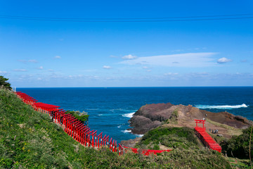 山口県　元乃隅神社　鳥居