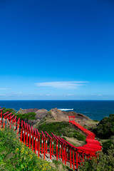 山口県　元乃隅神社　鳥居