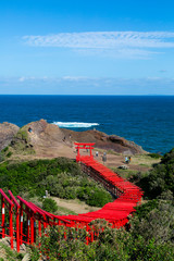 山口県　元乃隅神社　鳥居