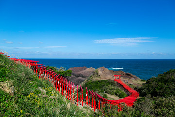 山口県　元乃隅神社　鳥居