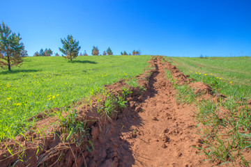 hillside fire protection furrow on a sunny summer day
