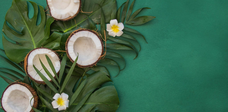 Tropical green leaves. Summer background