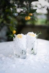 Two glasses of gin tonic cocktails with rosemary and mini lemon slices with lemon tree on the background 